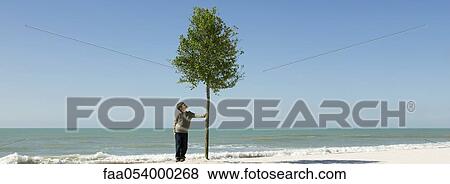 Stock Photo - Boy admiring tree growing on beach. Fotosearch