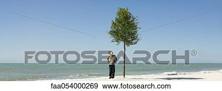 Boy admiring tree growing on beach View Large Photo Image Stock Photo - Boy admiring tree growing on beach. Fotosearch