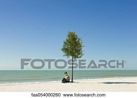 Stock Image - Boy reading book under tree growing on beach. Fotosearch
