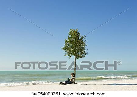Boy sitting under tree on beach with book in hands, looking at sea View Large Photo Image Stock Image - Boy sitting under tree on beach with book in hands, looking at sea. Fotosearch