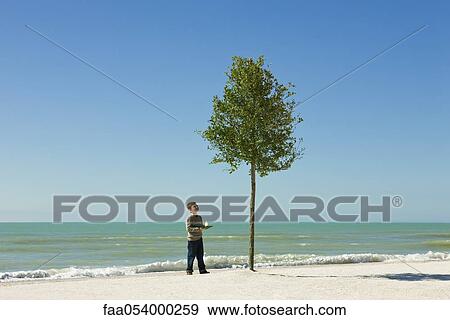Boy standing on beach with open book in hands, admiring tree growing in sand View Large Photo Image Stock Photo - Boy standing on beach with open book in hands, admiring tree growing in sand. Fotosearch