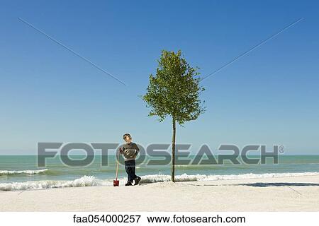 Stock Photo - Boy standing with shovel beside tree planted on beach. Fotosearch