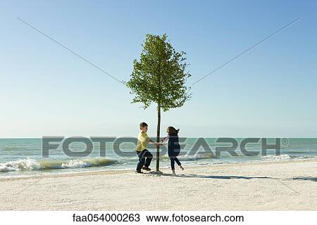 Children dancing around tree growing on beach View Large Photo Image Stock Image - Children dancing around tree growing on beach. Fotosearch