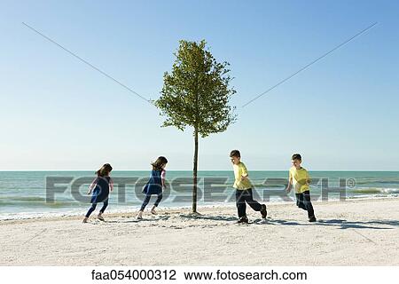 Stock Image - Children playing chase around tree growing on beach. Fotosearch