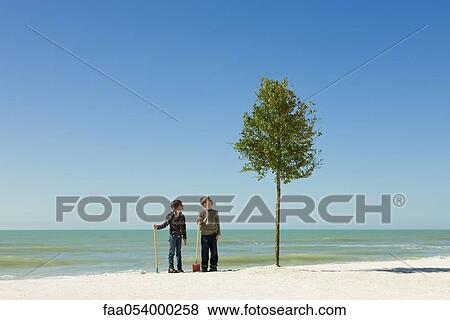 Stock Photo - Children standing with shovels beside tree planted on beach. Fotosearch