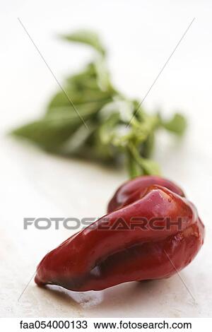 Stock Image - Chili pepper. Fotosearch