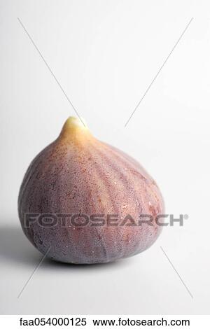 Fig View Large Photo Image Stock Photography - Fig. Fotosearch
