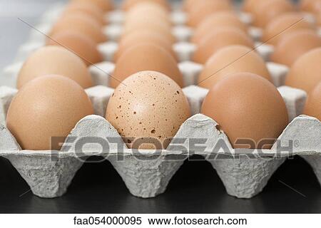 Fresh brown eggs in carton View Large Photo Image Stock Photography - Fresh brown eggs in carton. Fotosearch
