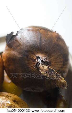 Onion View Large Photo Image Stock Image - Onion. Fotosearch