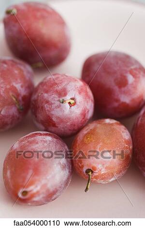 Plums View Large Photo Image Stock Image - Plums. Fotosearch