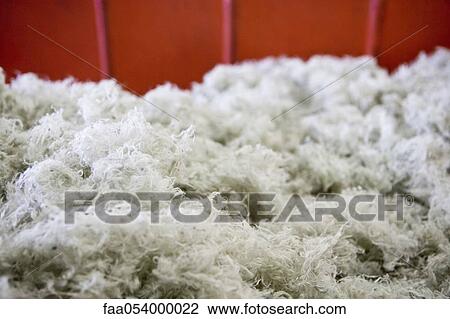 Stock Image - Polyester fibers obtained after PVC sheeting has been crushed and recycled. Fotosearch
