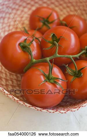 Stock Photograph - Ripe vine tomatoes. Fotosearch