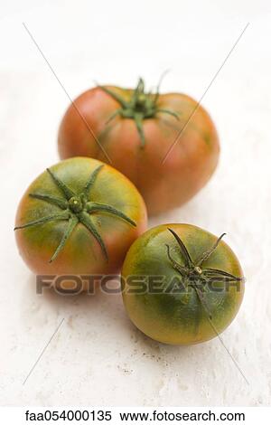 Ripening tomatoes View Large Photo Image Stock Photography - Ripening tomatoes. Fotosearch