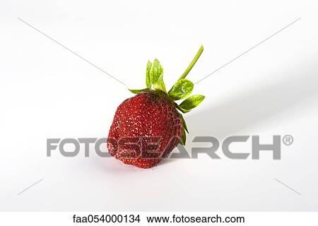 Strawberry View Large Photo Image Picture - Strawberry. Fotosearch