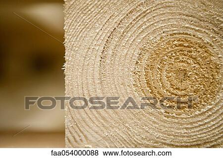 Wood pallet, extreme close-up View Large Photo Image Stock Photo - Wood pallet, extreme close-up. Fotosearch