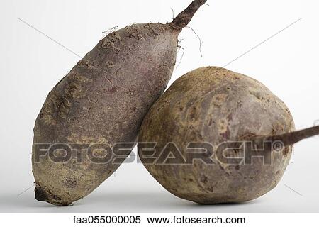 Beets View Large Photo Image Stock Photography - Beets. Fotosearch