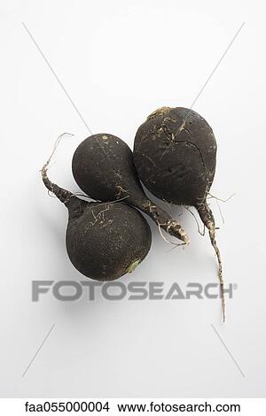 Black radishes View Large Photo Image Picture - Black radishes. Fotosearch