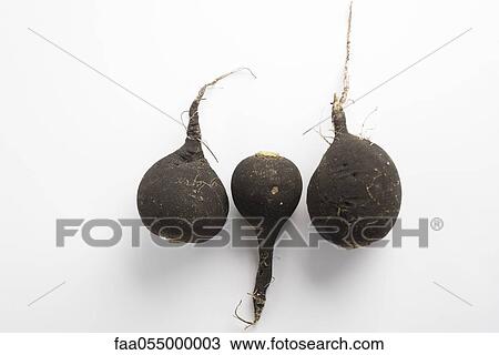 Stock Image - Black radishes. Fotosearch