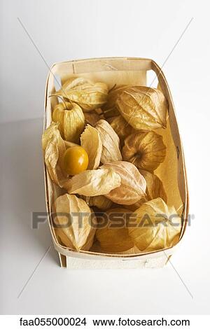 Cape gooseberry (Physalis peruviana) View Large Photo Image Picture - Cape gooseberry (Physalis peruviana). Fotosearch