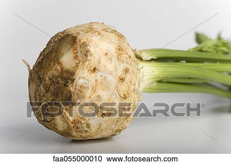 Stock Image - Celeriac. Fotosearch