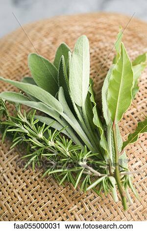 Fresh sage, rosemary, and bay leaves View Large Photo Image Stock Image - Fresh sage, rosemary, and bay leaves. Fotosearch