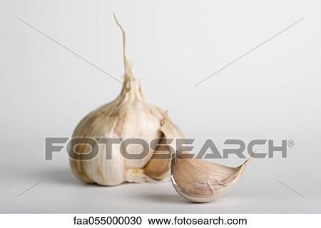 Garlic View Large Photo Image Stock Image - Garlic. Fotosearch