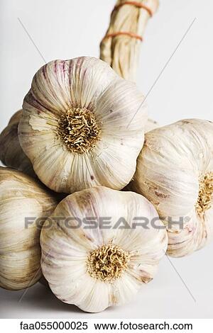 Garlic View Large Photo Image Stock Photography - Garlic. Fotosearch