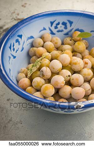 Mirabelle plums in bowl View Large Photo Image Stock Photograph - Mirabelle plums in bowl. Fotosearch