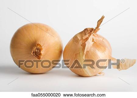 Stock Image - Onions. Fotosearch
