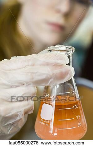 Researcher holding beaker filled with chemicals View Large Photo Image Stock Photograph - Researcher holding beaker filled with chemicals. Fotosearch