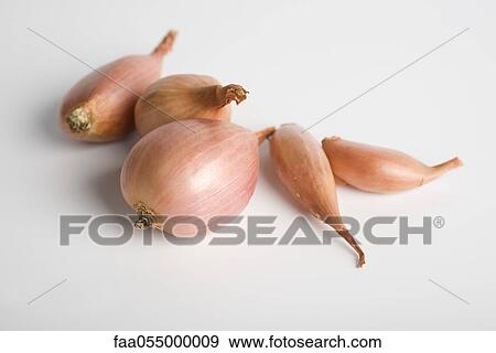 Shallots View Large Photo Image Stock Photo - Shallots. Fotosearch