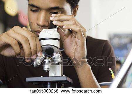 Student looking through microscope View Large Photo Image Stock Photo - Student looking through microscope. Fotosearch