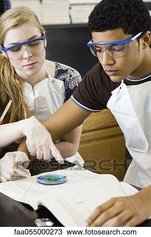 Stock Image - Students conducting laboratory assignment in science class. Fotosearch