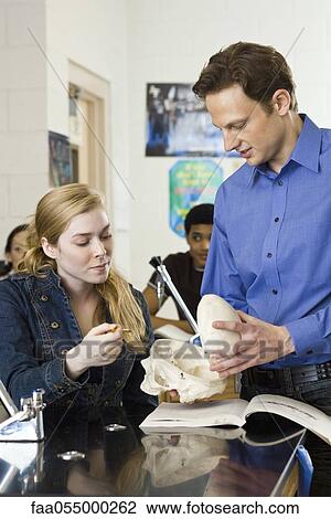 Teacher showing skull to student in anatomy class View Large Photo Image Stock Image - Teacher showing skull to student in anatomy class. Fotosearch