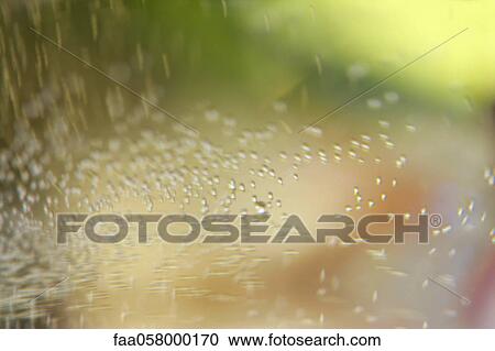 Champagne bubbles, full frame View Large Photo Image Stock Image - Champagne bubbles, full frame. Fotosearch