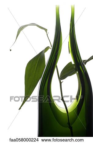 Plant in vase View Large Photo Image Picture - Plant in vase. Fotosearch