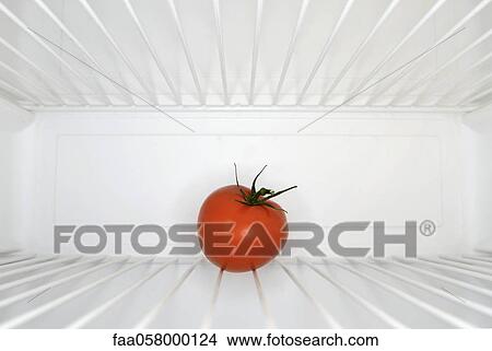 Single red tomato sitting on shelf inside refrigerator View Large Photo Image Picture - Single red tomato sitting on shelf inside refrigerator. Fotosearch