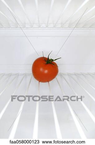 Stock Image - Single tomato sitting on shelf inside refrigerator. Fotosearch