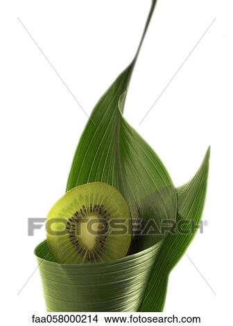Sliced kiwi wrapped in leaf View Large Photo Image Picture - Sliced kiwi wrapped in leaf. Fotosearch