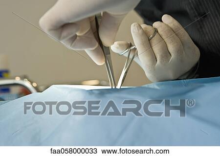 Surgeon performing operation, cropped View Large Photo Image Stock Image - Surgeon performing operation, cropped. Fotosearch