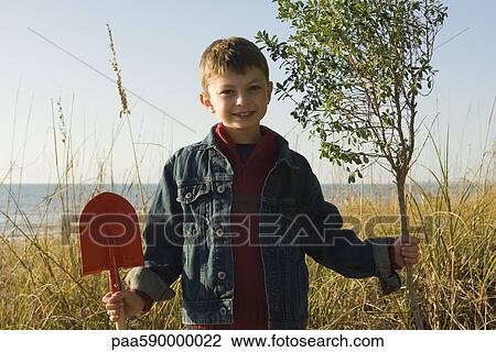 Stock Image - Boy with gardening shovel holding trunk of sapling. Fotosearch