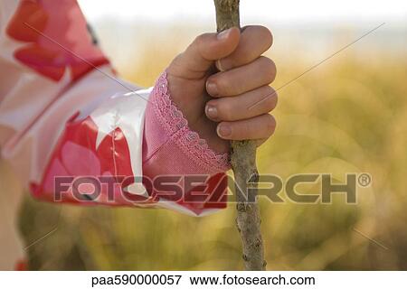 Child's hand holding tree branch View Large Photo Image Stock Photo - Child's hand holding tree branch. Fotosearch