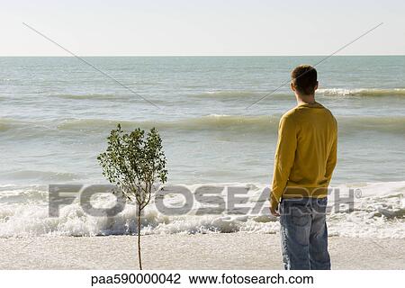 Stock Image - Man standing beside small tree growing on beach, looking at view. Fotosearch