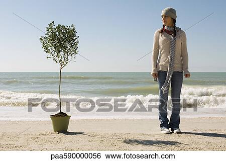 Preteen girl on beach standing near potted tree set near water's edge View Large Photo Image Stock Photograph - Preteen girl on beach standing near potted tree set near water's edge. Fotosearch