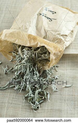 Bag of dried sage leaves View Large Photo Image Picture - Bag of dried sage leaves. Fotosearch