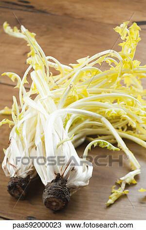 Stock Image - Frisee lettuce heads. Fotosearch