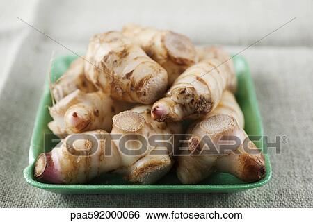 Galangal root View Large Photo Image Stock Photograph - Galangal root. Fotosearch