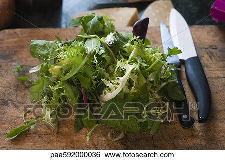 Mesclun and assorted greens View Large Photo Image Stock Photograph - Mesclun and assorted greens. Fotosearch