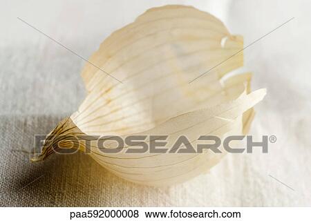 Stock Photo - Onion skin. Fotosearch