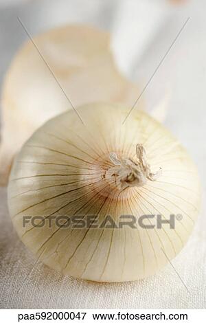 Onions View Large Photo Image Stock Photo - Onions. Fotosearch